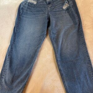 American Eagle Outfitters Blue Boyfriend Jeans Relaxed Fit